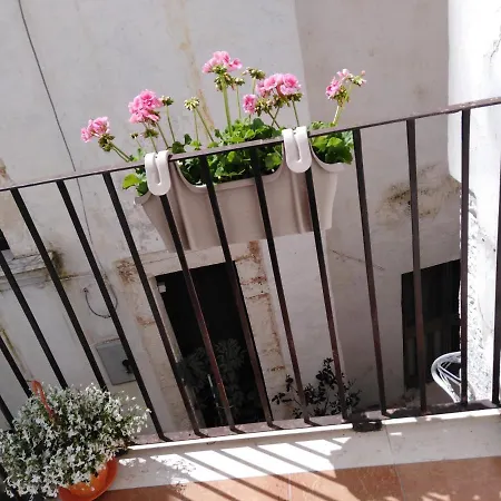 Rosa's House Conversano