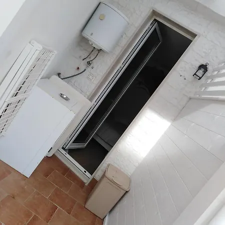 Rosa's House